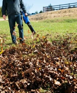 Kobalt Cordless Electric Leaf Blowers 80-volt Max 630-CFM Brushless Handheld Cordless Electric Leaf Blower (Tool Only) -Kobalts Shop 10216808
